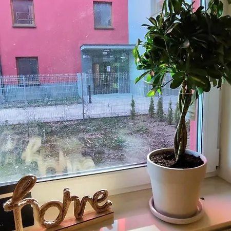 Wooden Dream With Terrace Apartamento *