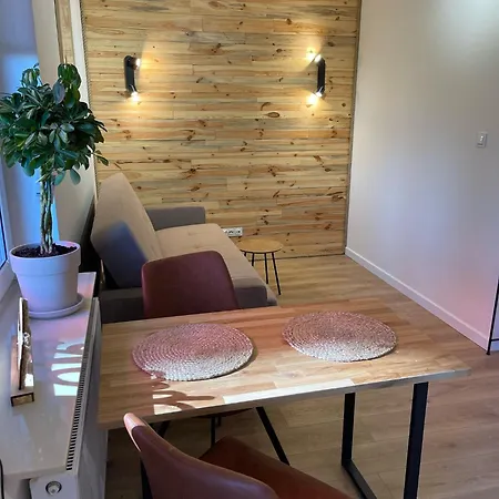 Apartment Wooden Dream With Terrace