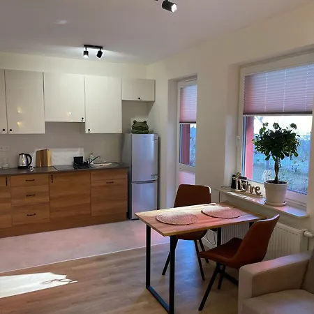 Wooden Dream With Terrace Apartment Siedlce